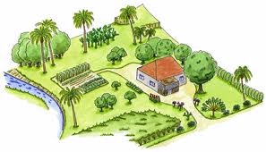 Le jardin créole : une tradition permacole